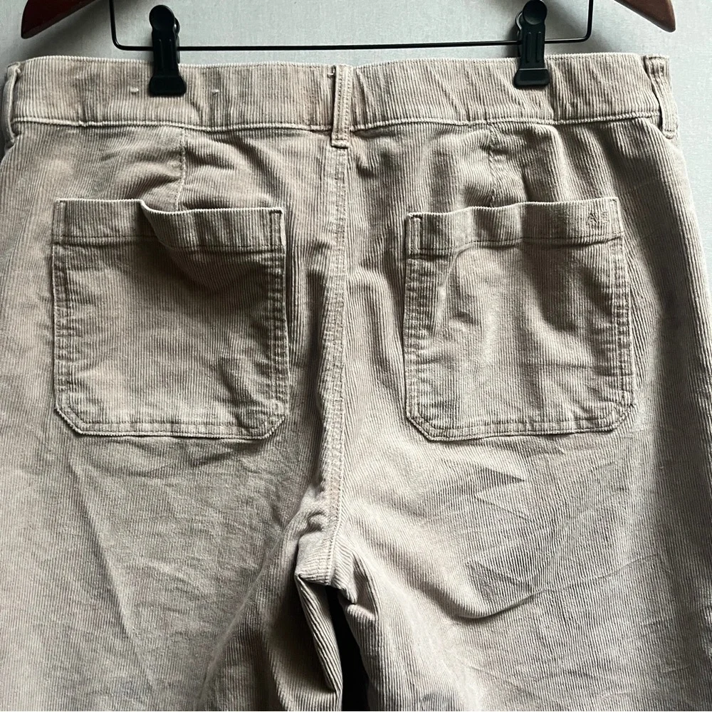 American Eagle Outfitters Low Rise Baggy Wide Leg Corduroy Pants Sz 14 - Picture 5 of 15